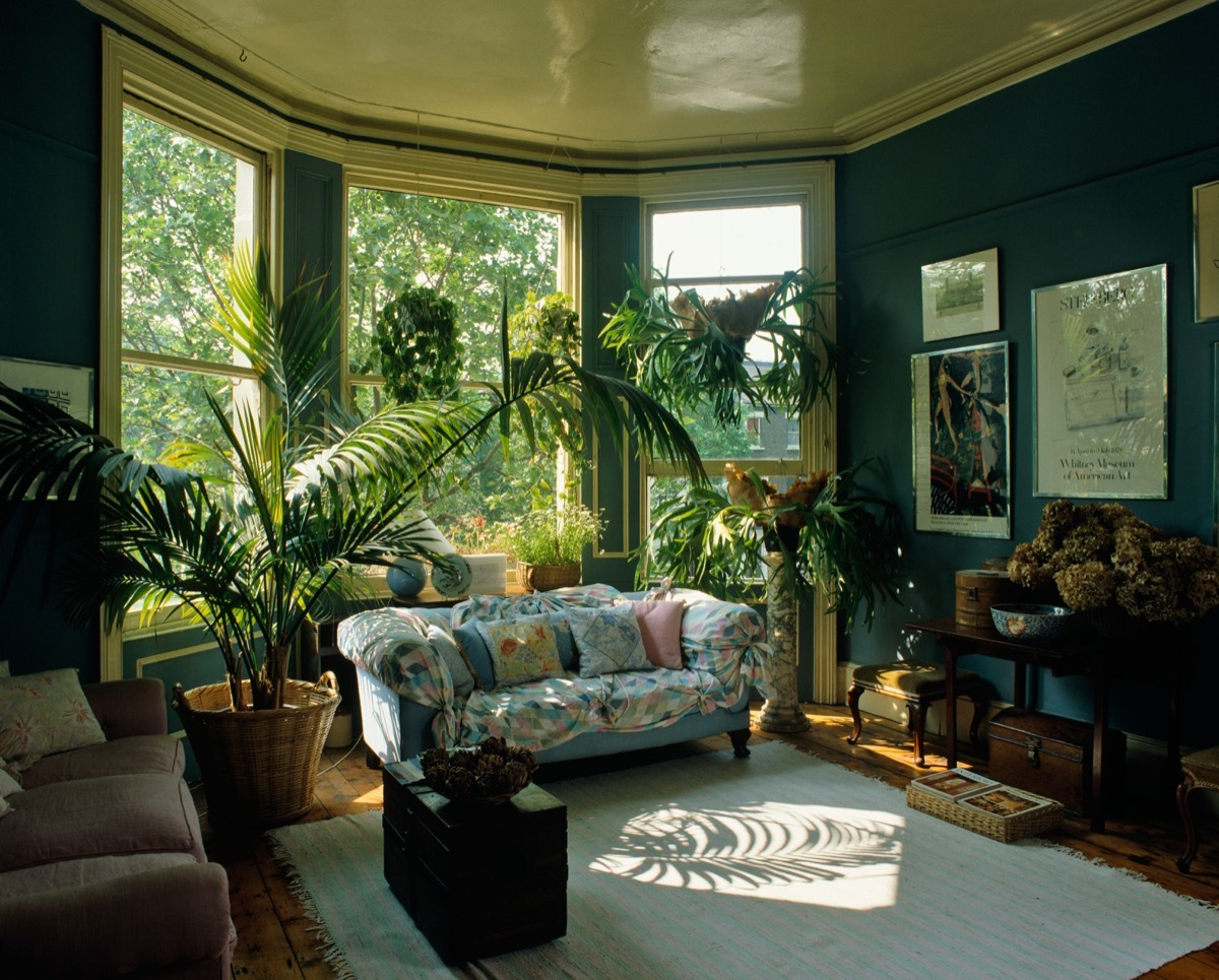 B6D7D5 Eighties Style Living Room Interior with plants everywhere