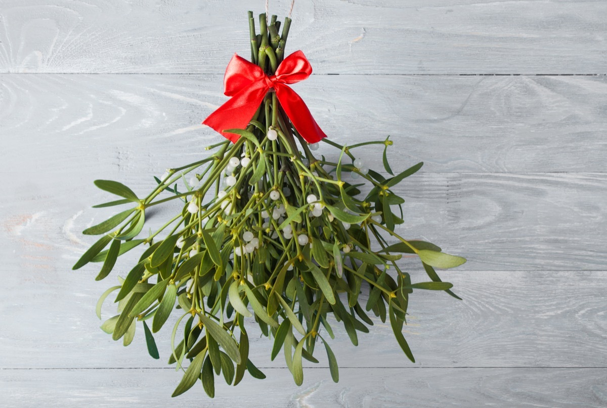 Christmas Mistletoe {New Years Eve Traditions}