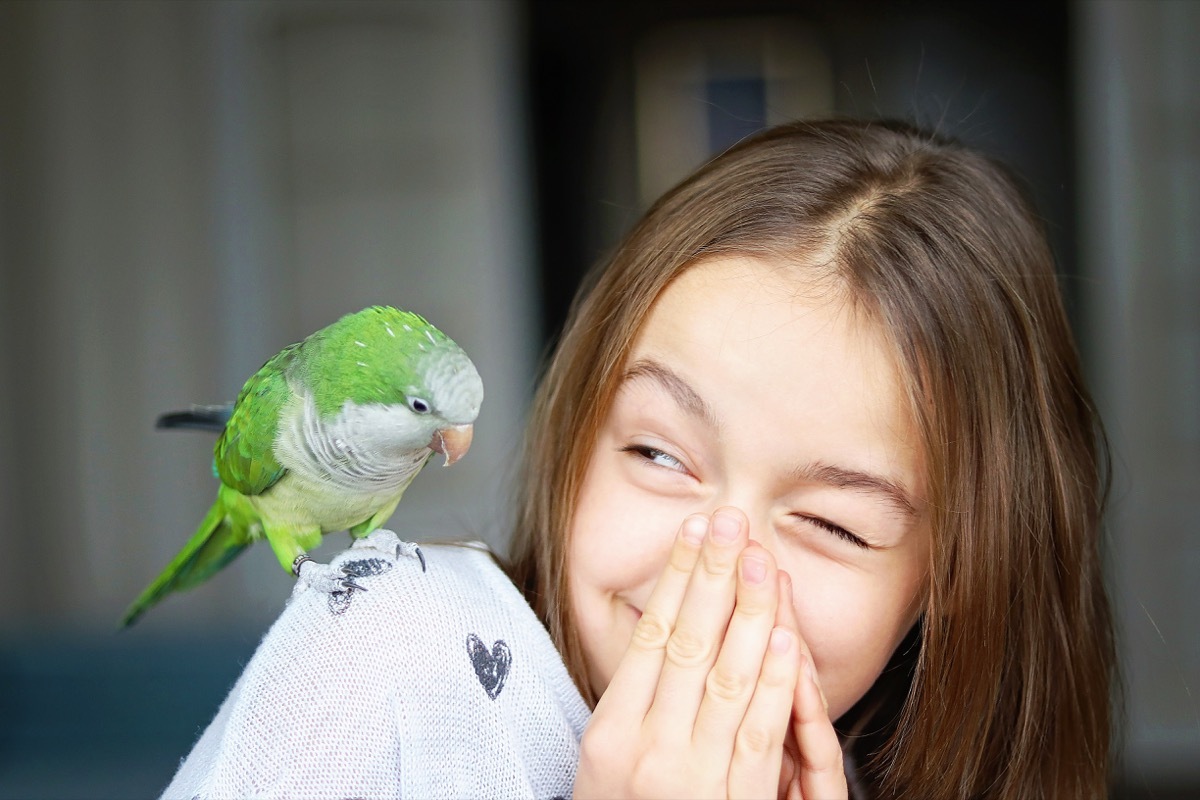 young girl with pet parakeet on her shoulder