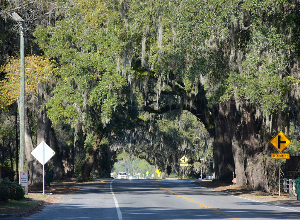 US 17 dangerous highways