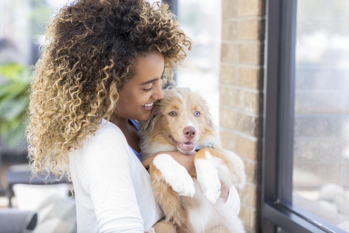 confident young woman snuggles adorable puppy while looking through window in her home.