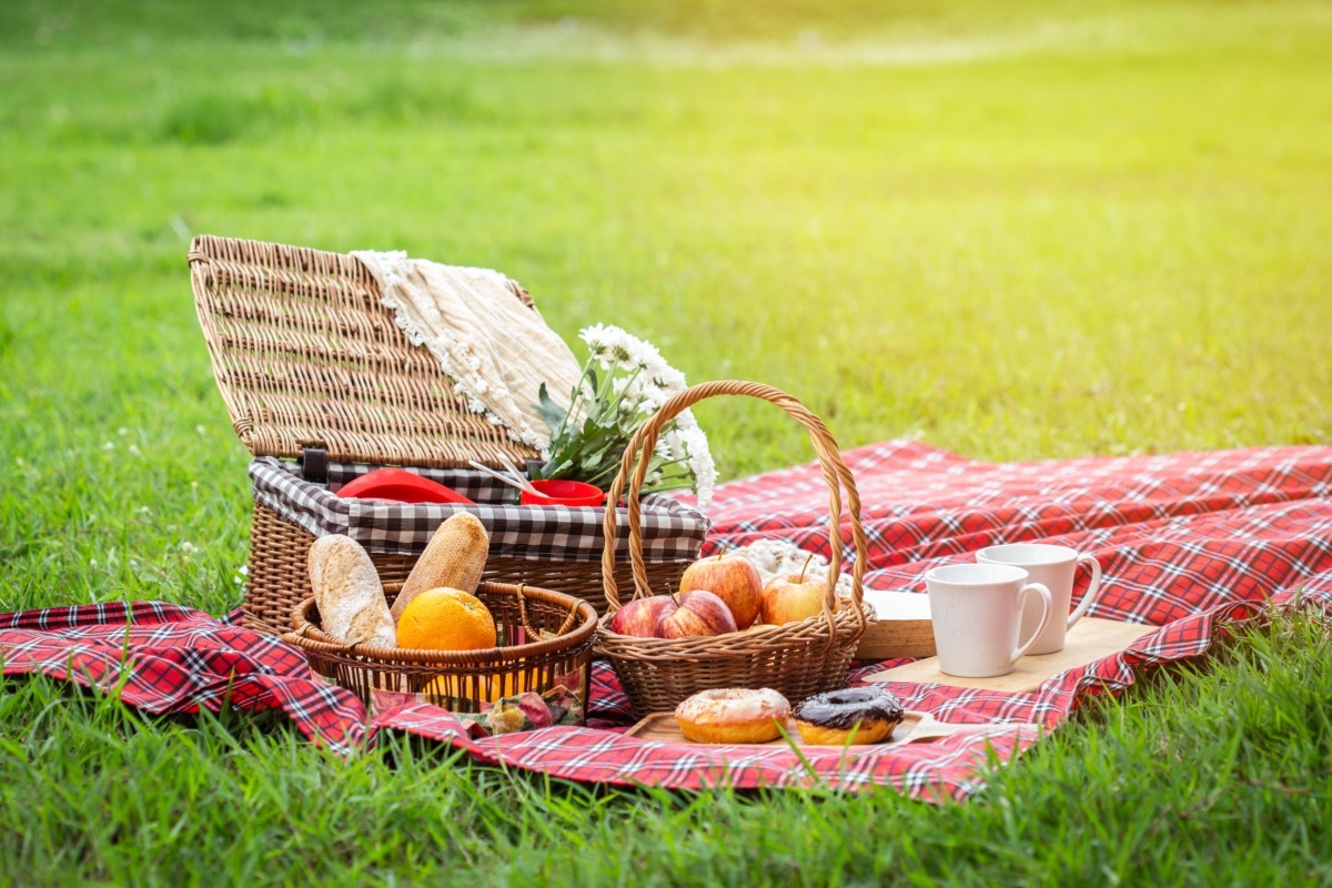 Picnic on lawn