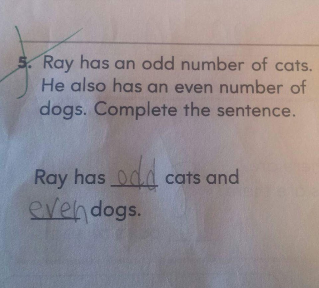 Cats and dogs funny kid's assignments