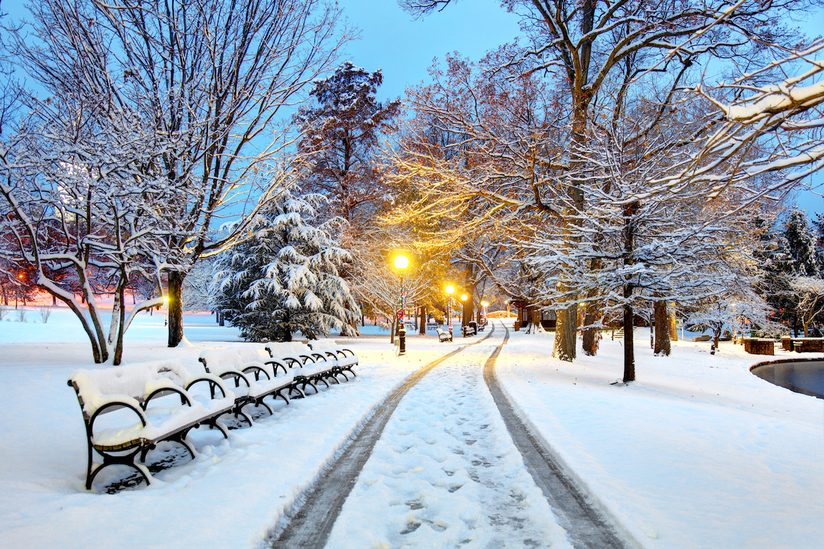 Bushnell Park in Hartford, Connecticut