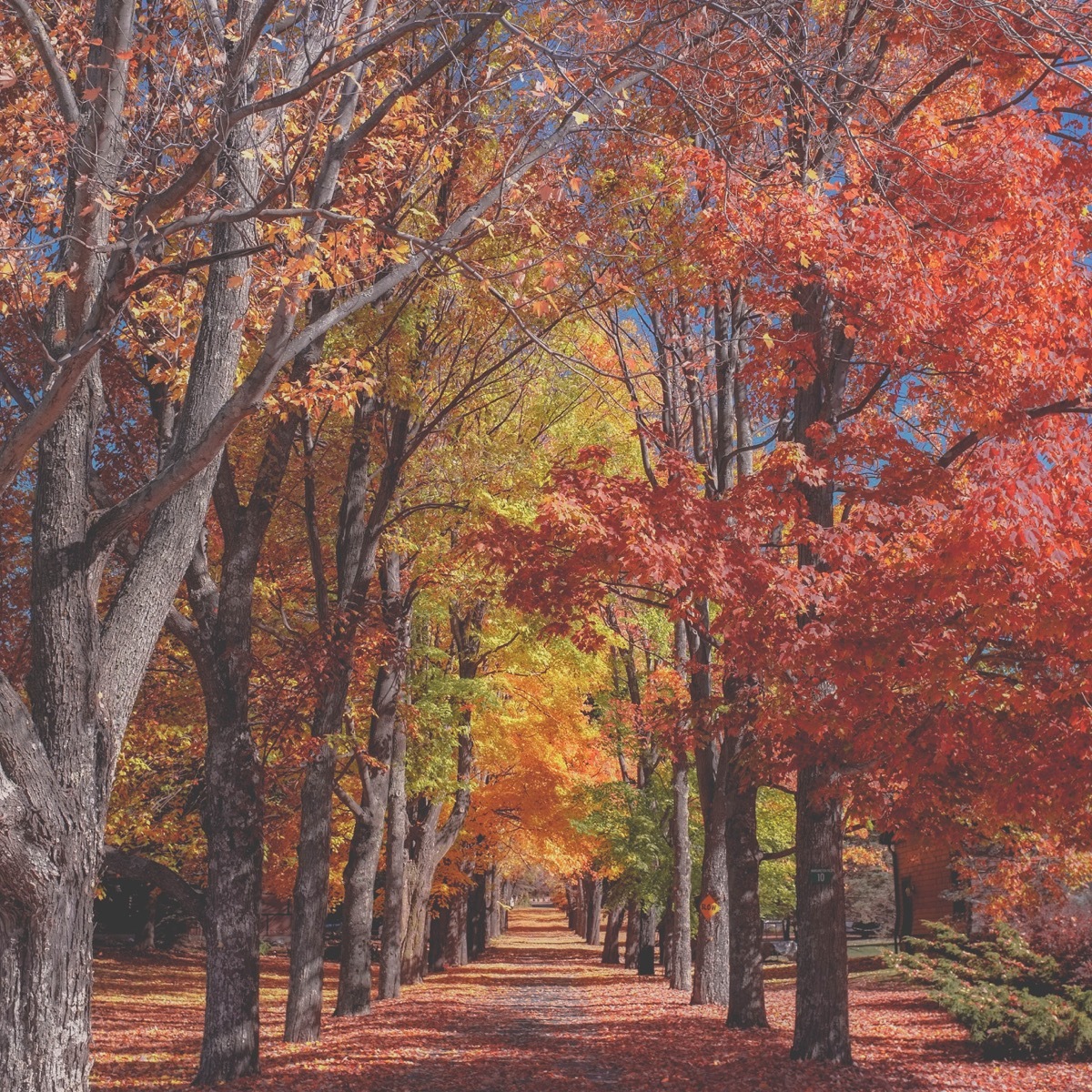 catskill mountains, US