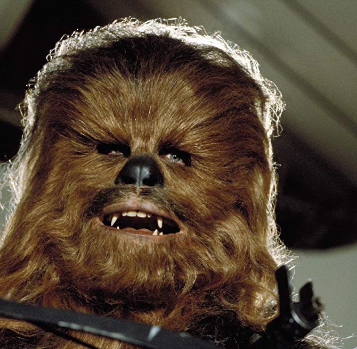 screenshot of chewbacca in return of the jedi