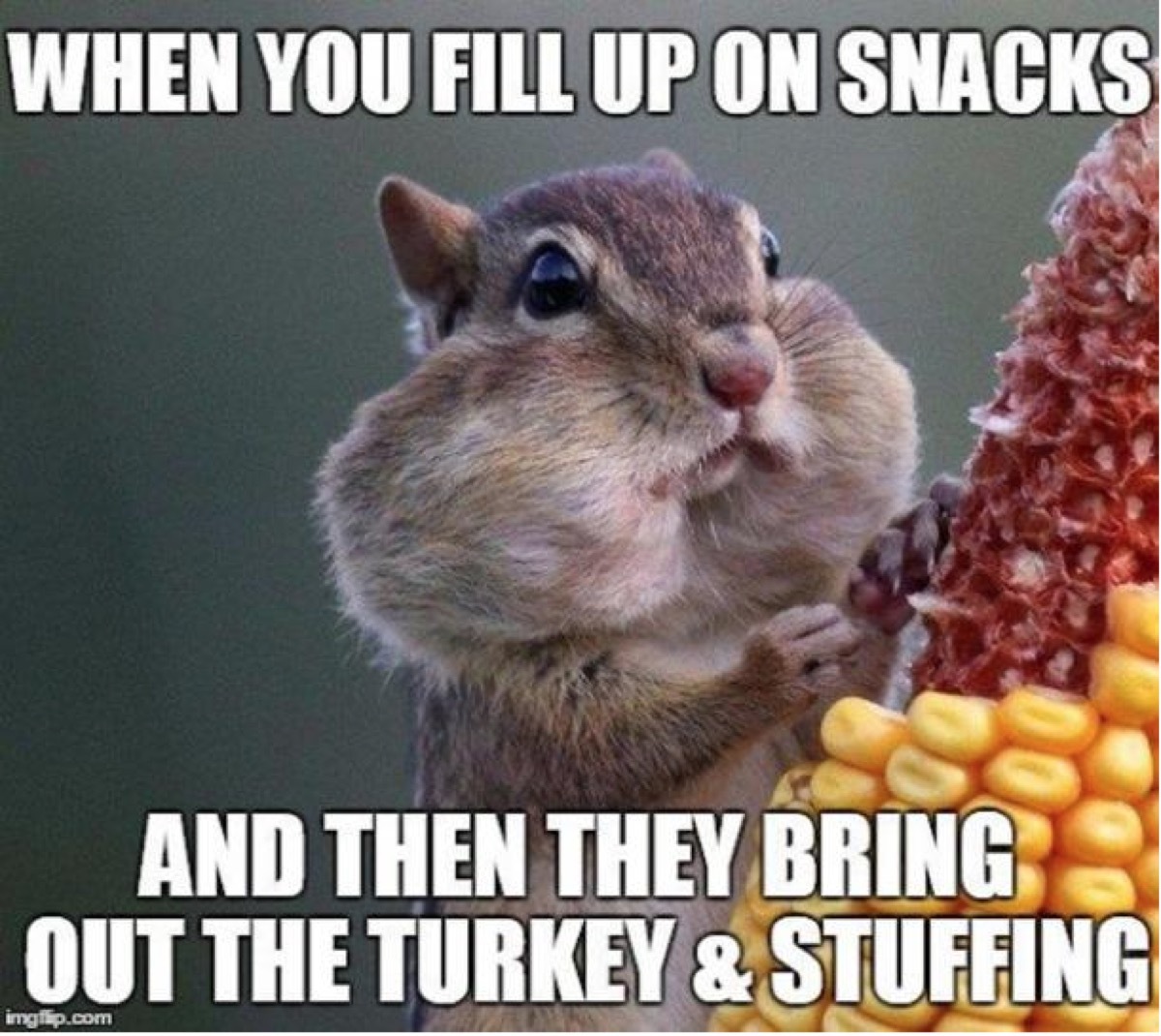 thanksgiving memes