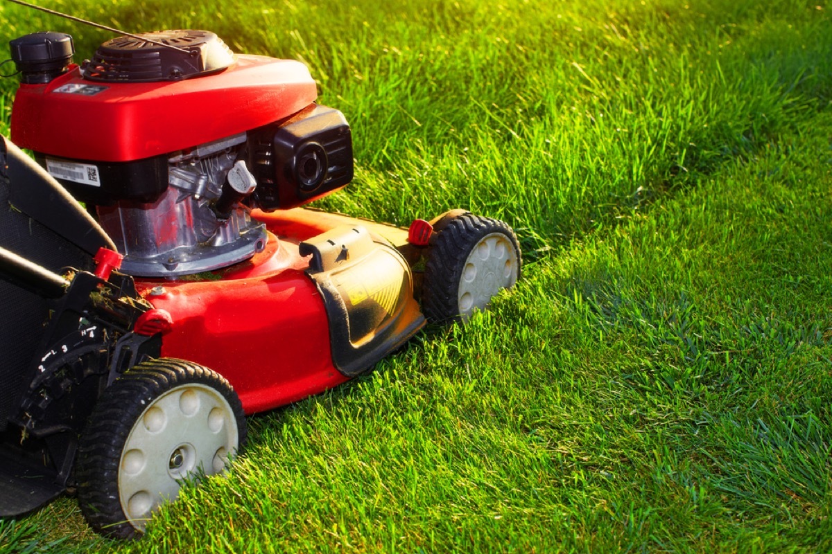 destroying your lawn