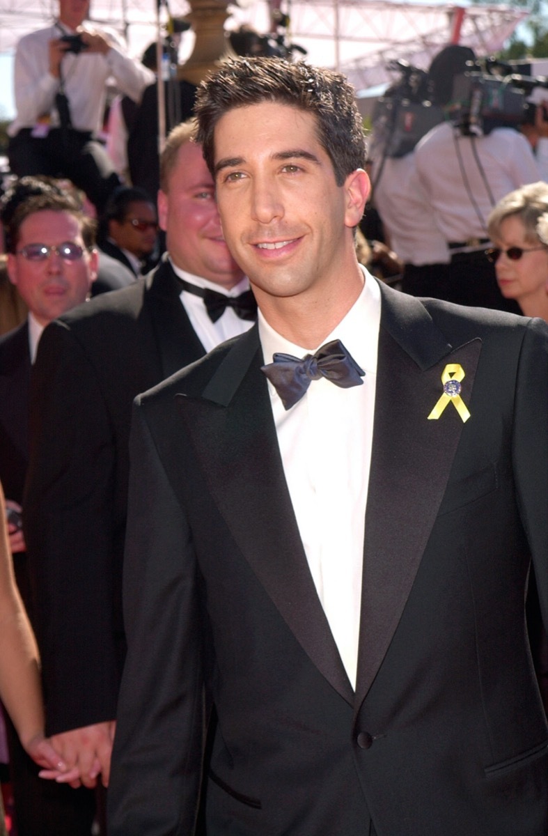 David Schwimmer