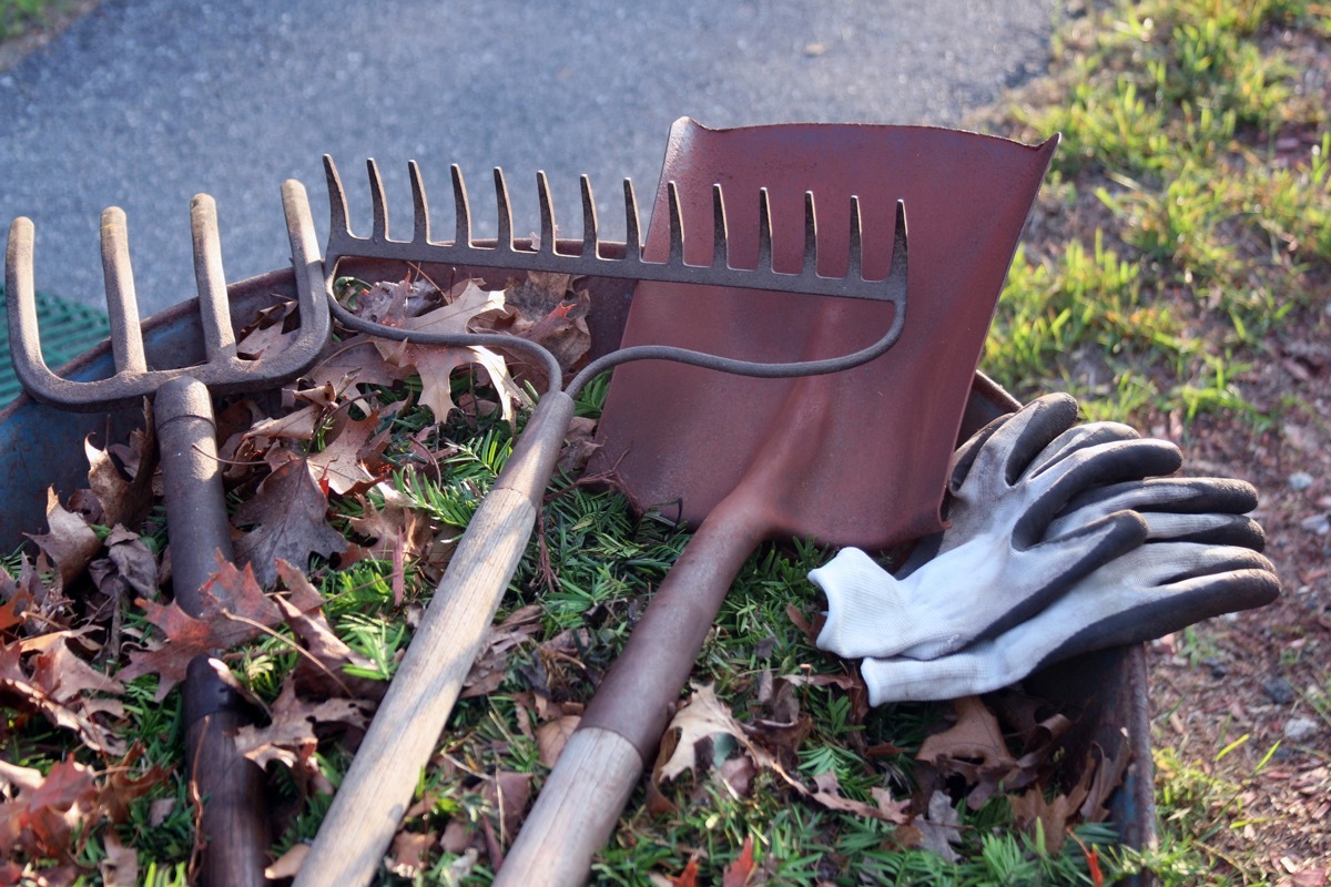 landscaping tools