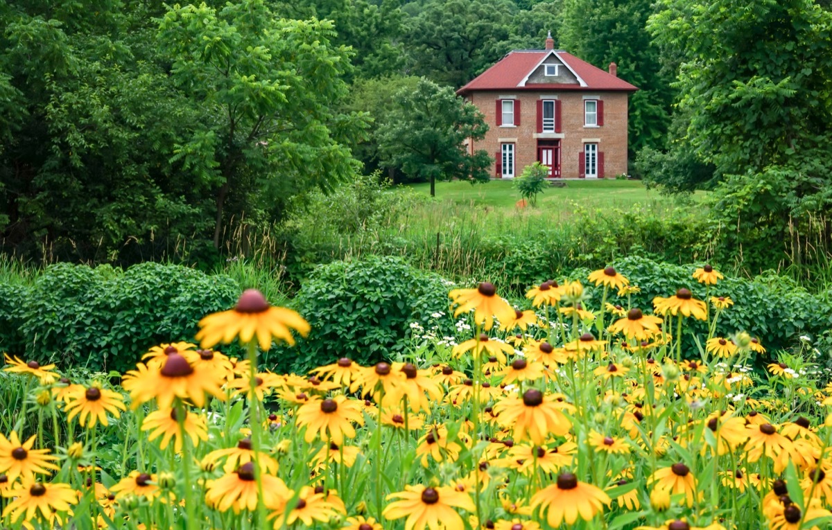 Summer at the fish hatchery in Decorah Iowa