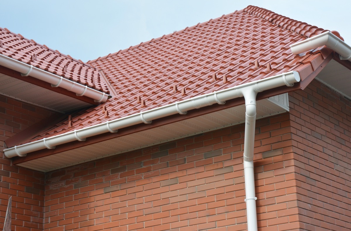 roof with bird box corner