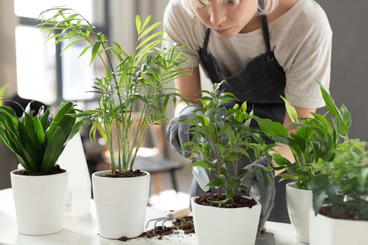 woman with apron looking at potted plants