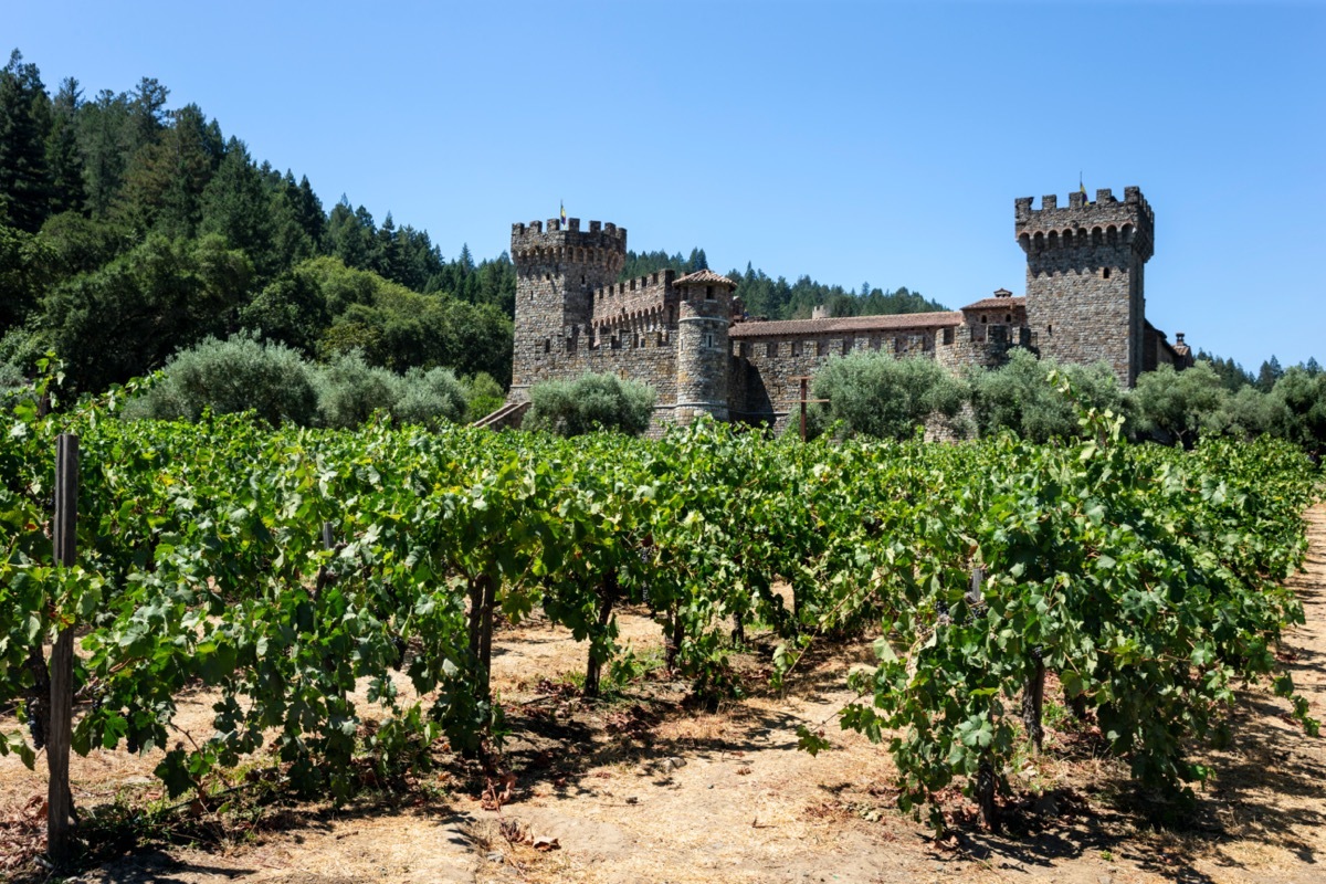 grape vines in front of a castle in california