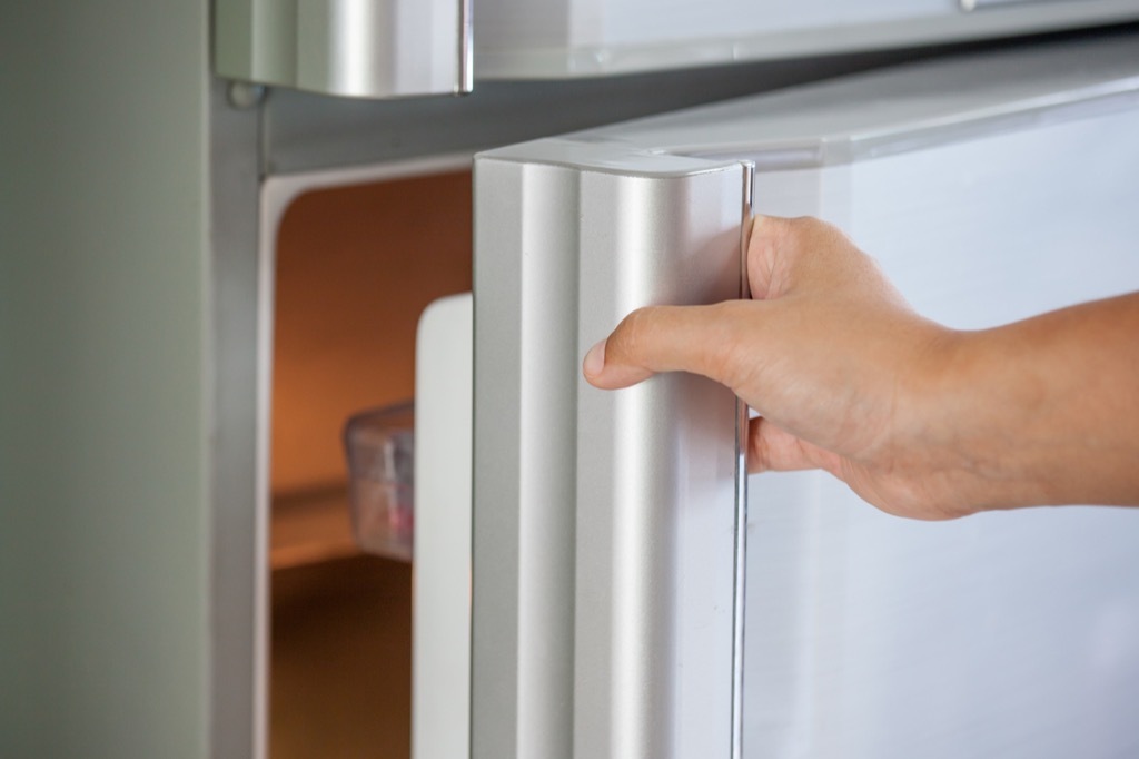 Fridge handle