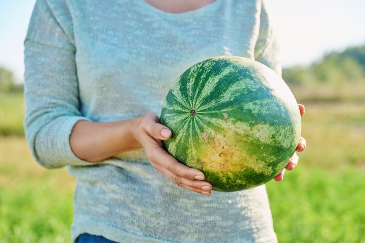 Close-up of ripe watermelon in hands of woman standing outdoors