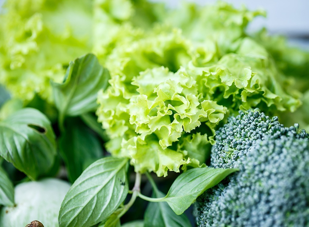 Up close shot of lettuce.