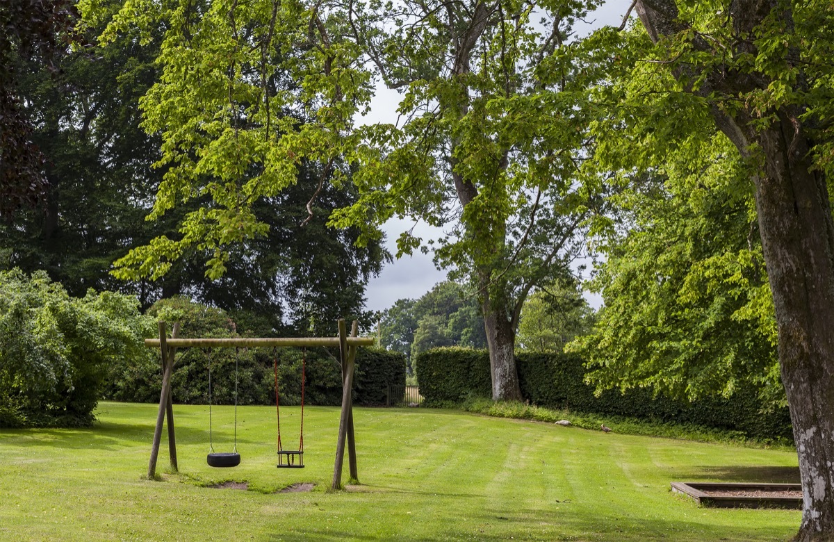 Yard with an Old Swing Set, prince william surprising facts