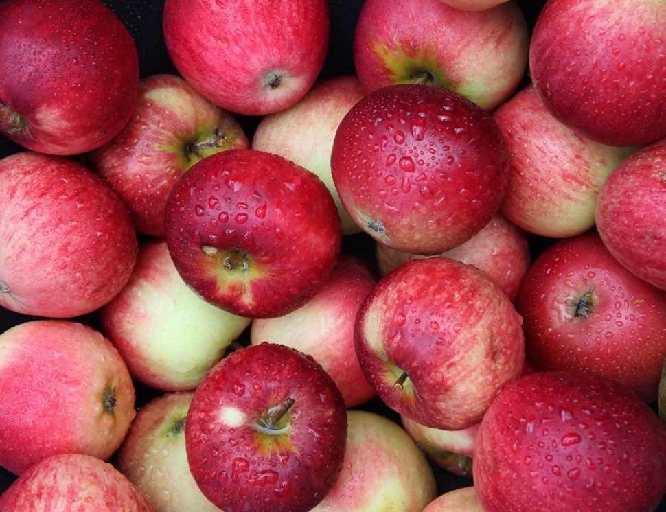 Apples | 10 Foods With Almost Zero Calories | Her Beauty