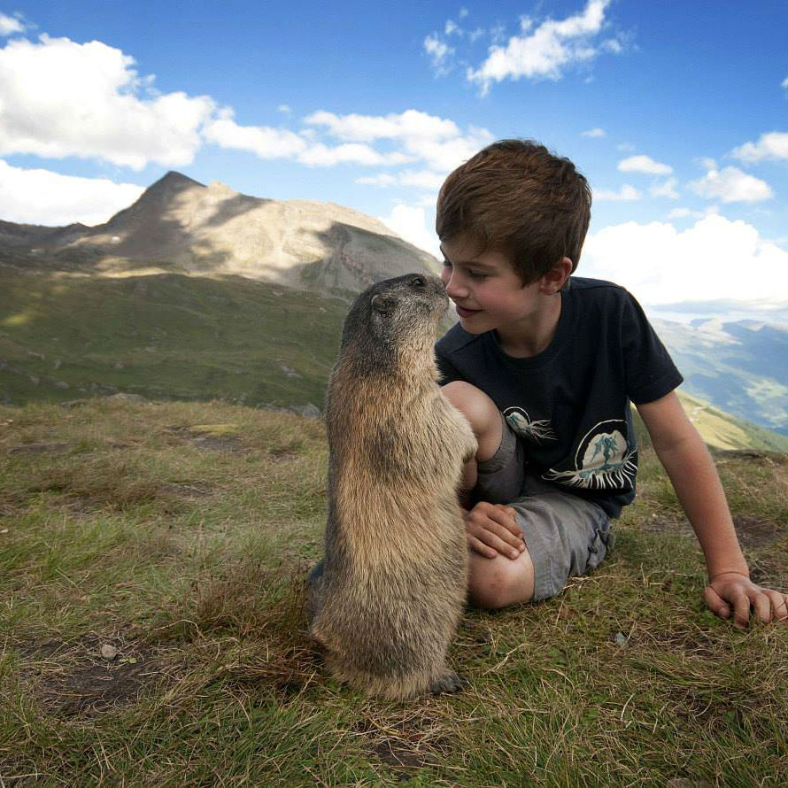 Matteo Walch, The Marmot Whisperer