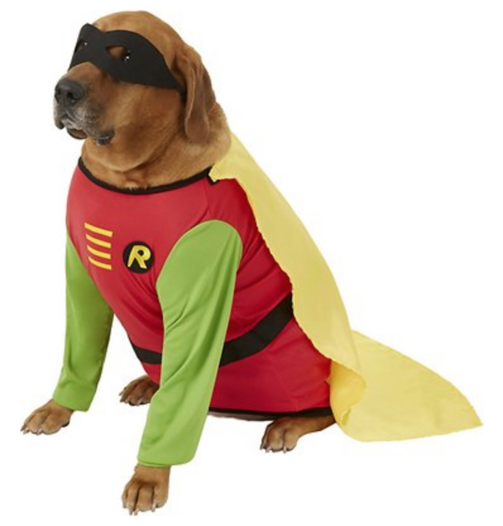 Robin Dog Costume adorable dog outfits