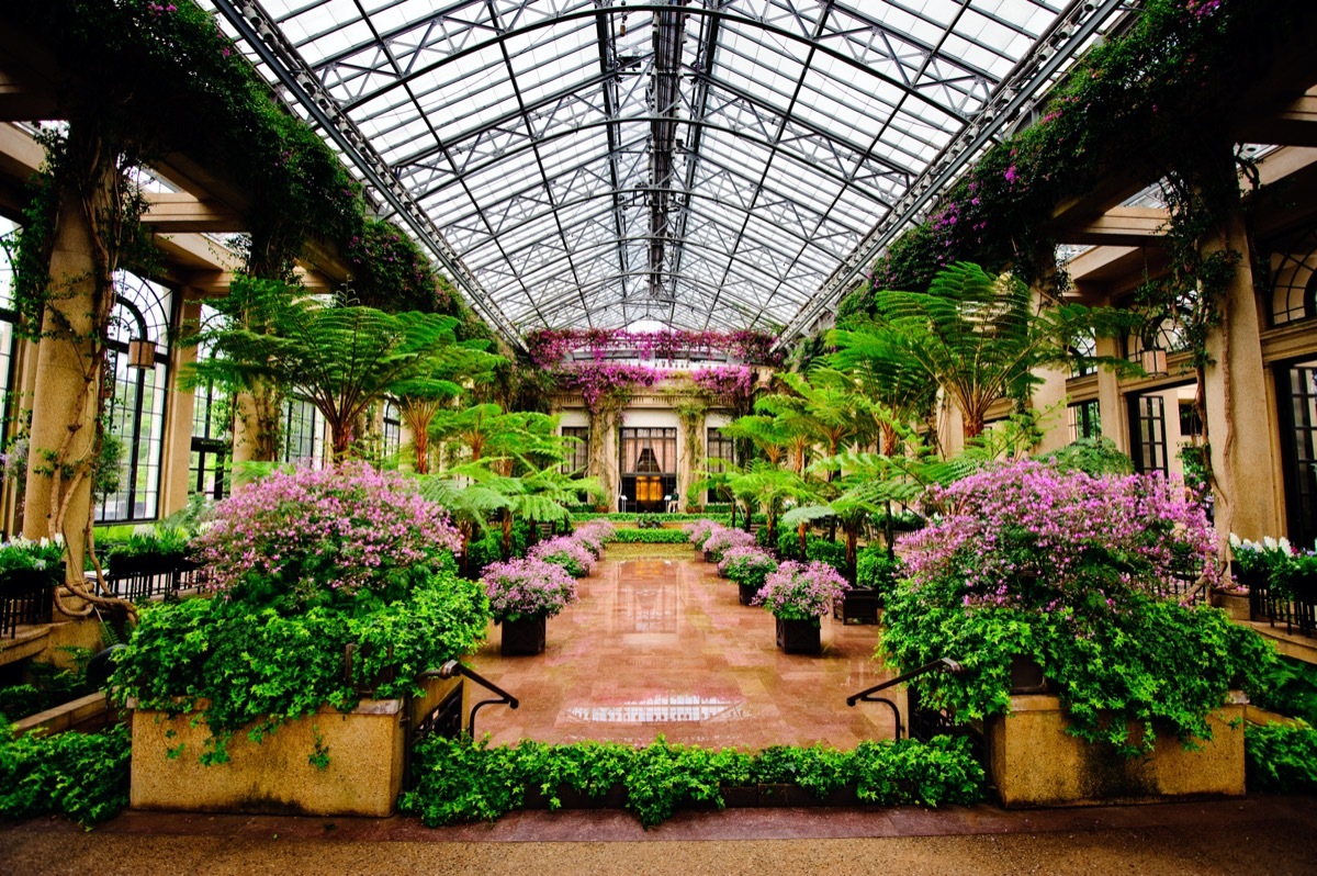 indoor garden at longwood in pennsylvania