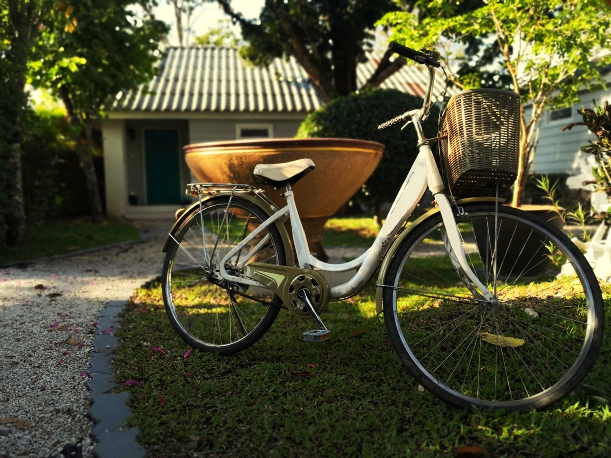 A Bicycle in Someone's Yard Things Never Leave Outside