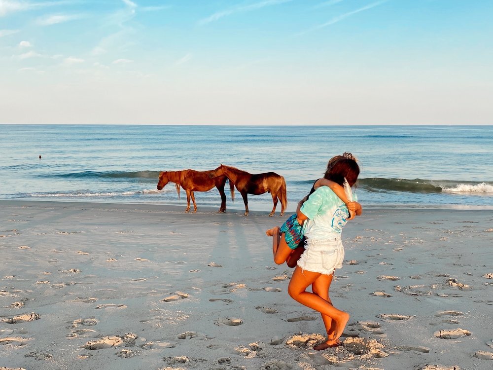 Assateague Island National Seashore in Maryland