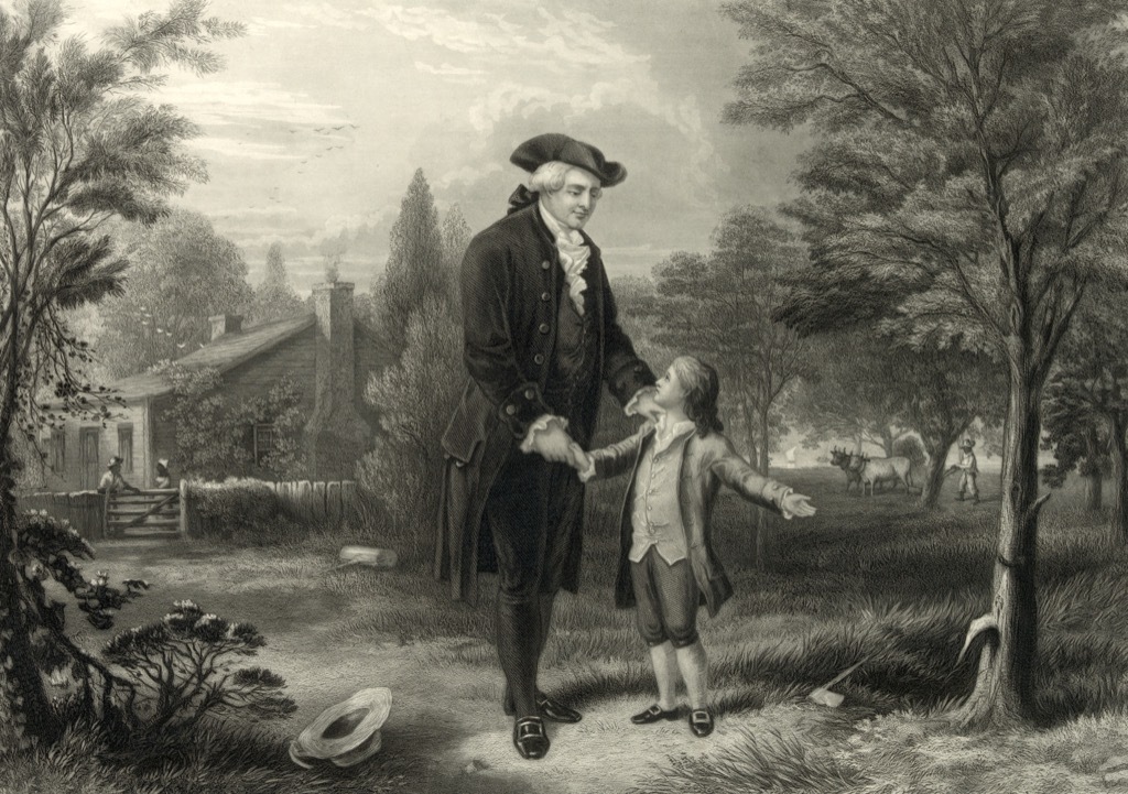 George Washington and the cherry tree