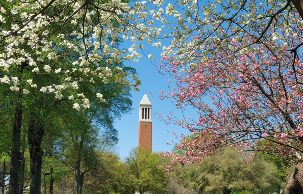 tuscaloosa alabama university of alabama