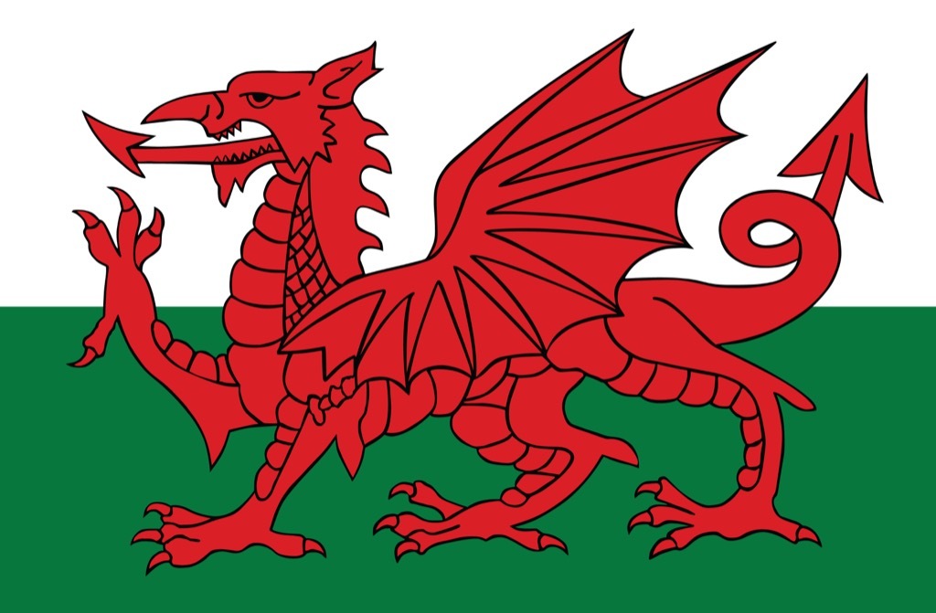 Wales Welsh dragon flag