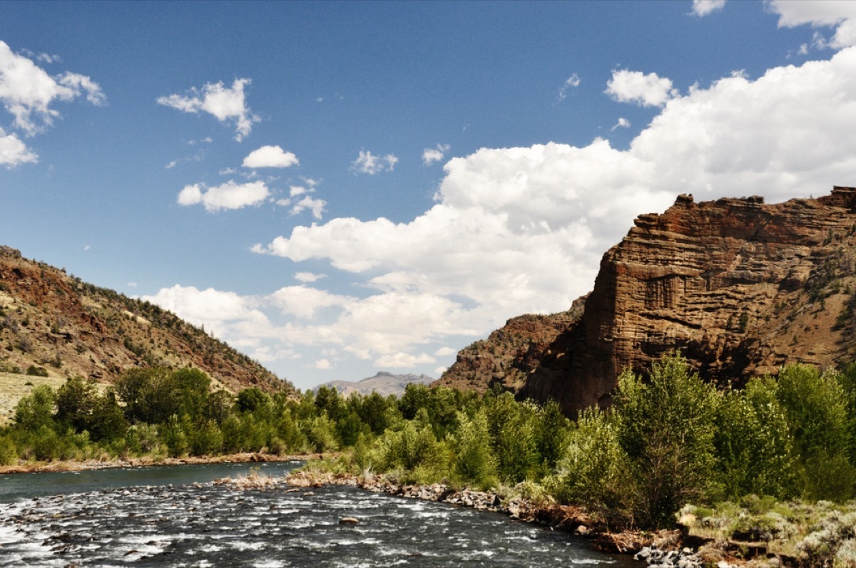 cody river in wyoming