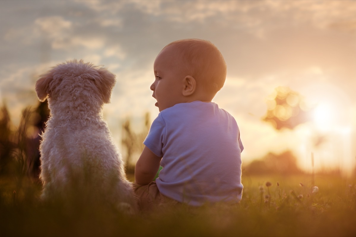 Baby and dog having chat