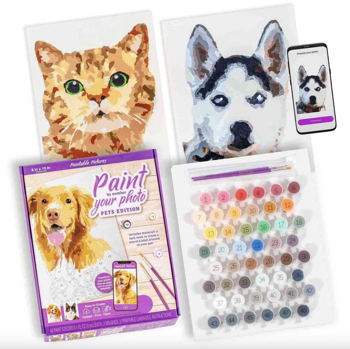 Product shot of Paintable Pictures' pet paint-by-numbers kits