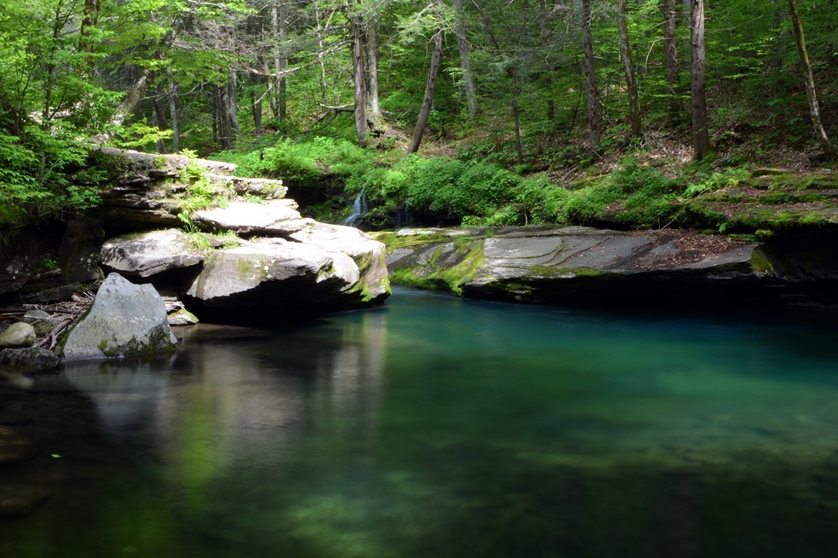 clear blue swimming hole surrounded by forest in new york