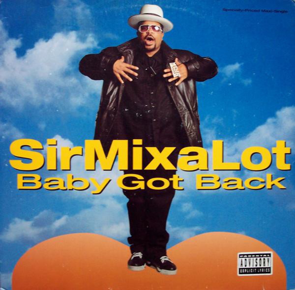 Baby Got Back by Sir Mix-a-Lot 1990s One-Hit Wonders