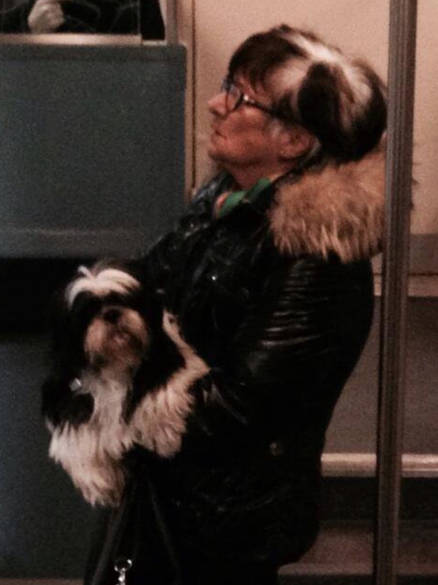 woman with the same hairstyle as her dog dogs who look like their owners