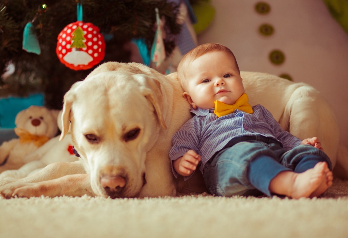 Dapper baby hanging out with his dog