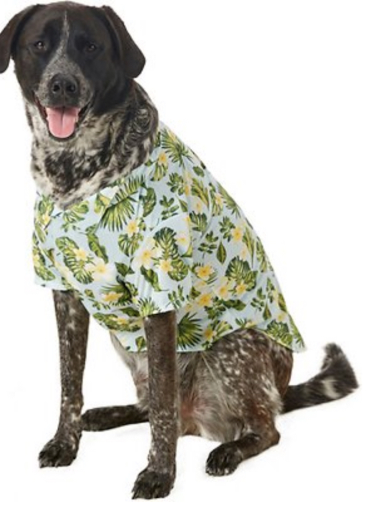 Hawaiian Dog Shirt