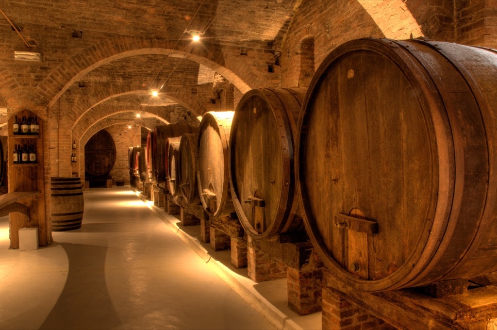 Barrels of wine in a cellar.