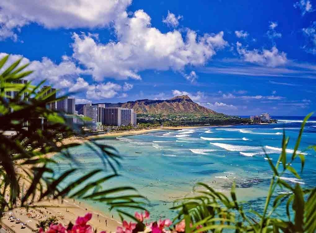 view of hawaiian mountain and ocean through palm trees, state fact about hawaii