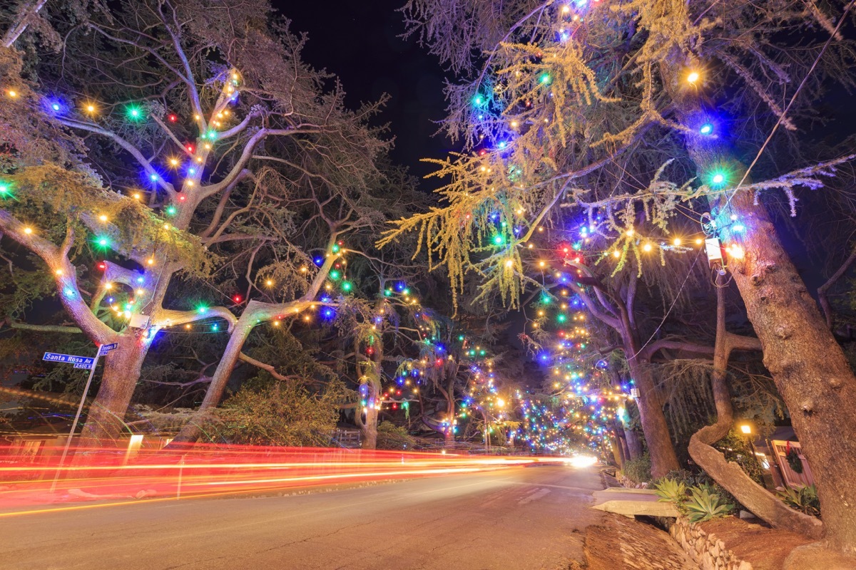 California Christmas Tree Lane State Christmas Tree 