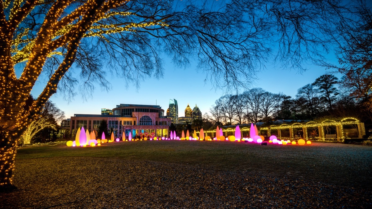 christmas lights at atlanta botanical gardens