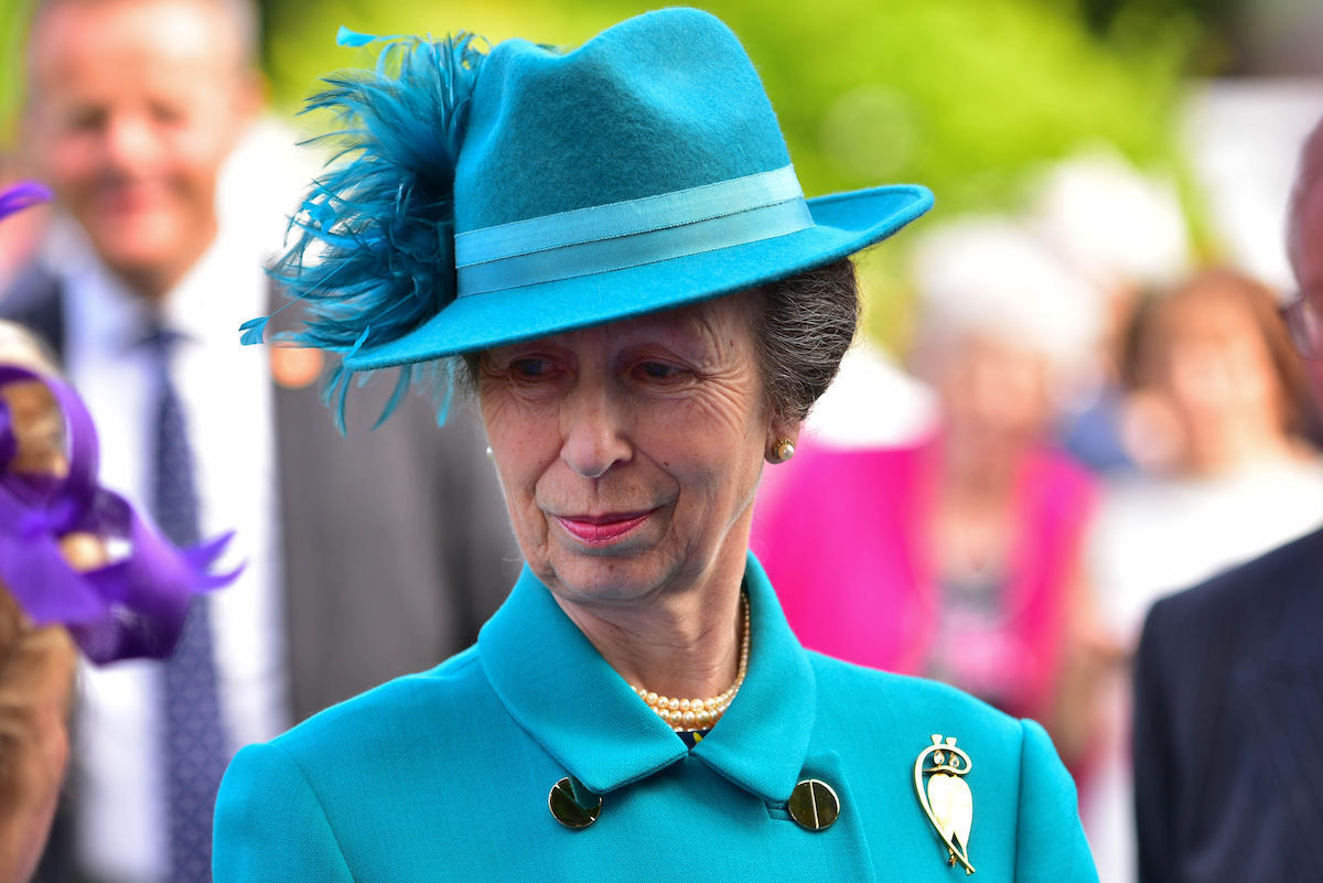 The Princess Royal attended the Secretary of State for Northern Ireland's Annual Garden party at Hillsborough Castle, Princess Anne met and spoke with visitors during a walkabout in the gardens