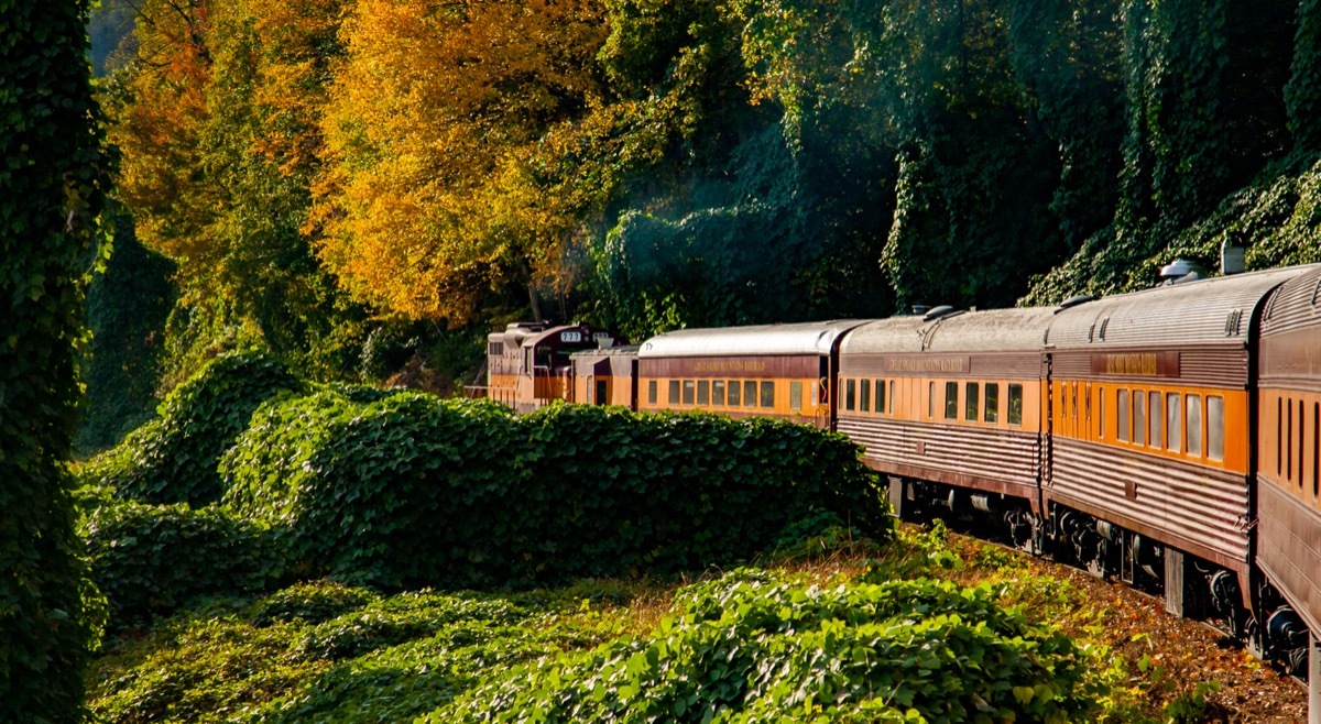 Great Smoky Mountains Railroad