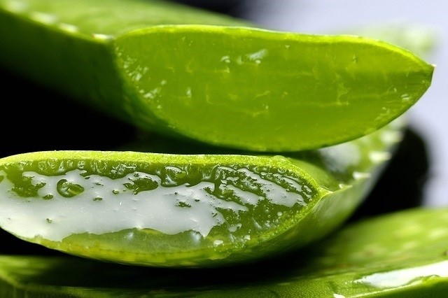 Utilize Aloe Vera | 9 Simple Tips to Relieve Dry Skin Fast | Her Beauty