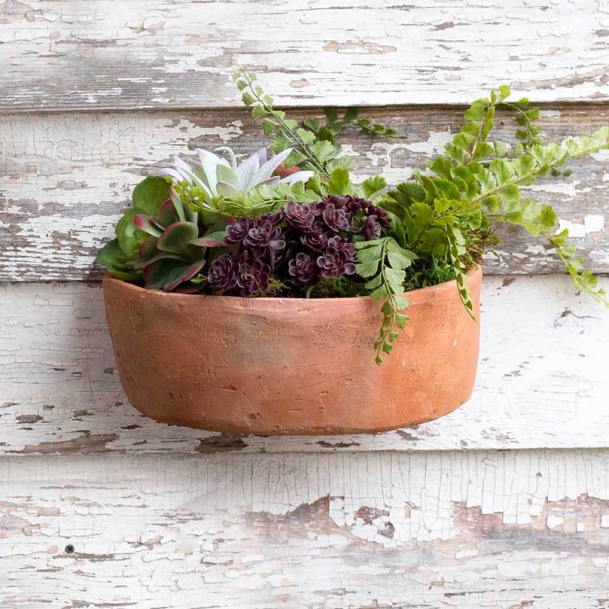 terra cotta wall planter cheap home upgrades