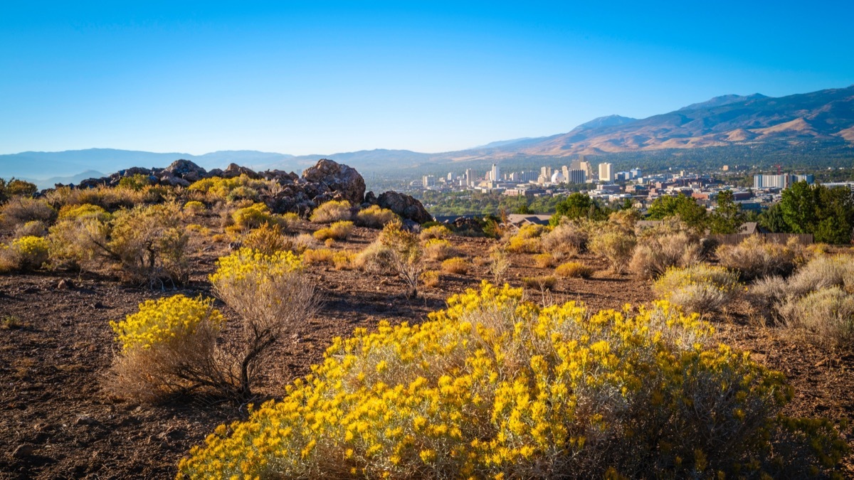 Reno Nevada