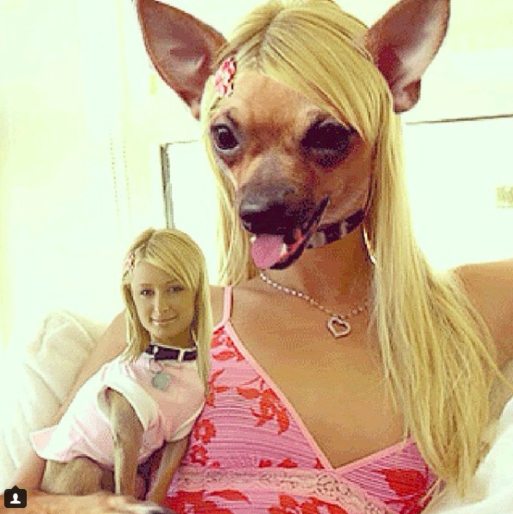 Paris Hilton and her dog swap heads