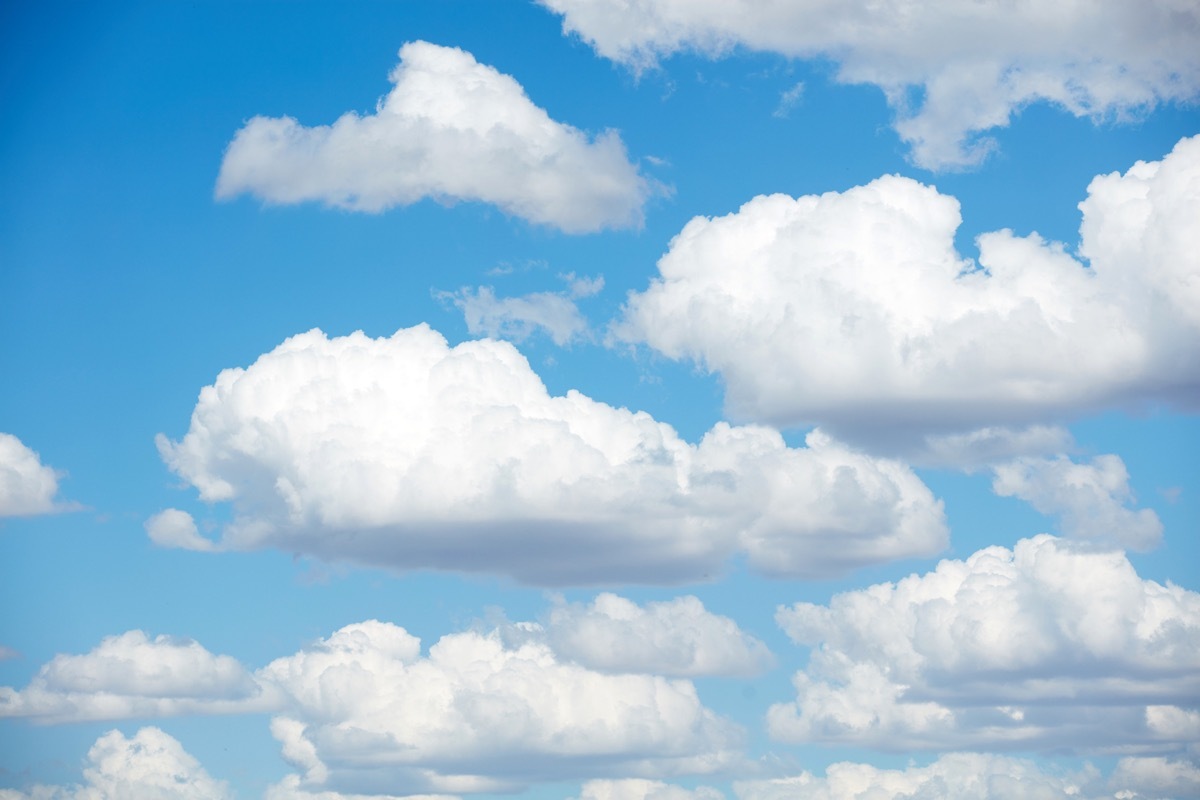 Blue skies with summer cumulus clouds.